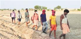 No ‘bonded labour’, Punjab cops refute BSF claim