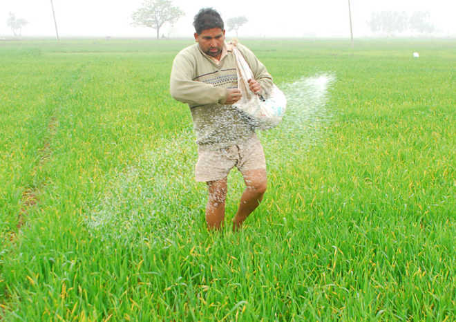 Fertiliser price hike: RSS affiliate BKS asks govt to check ‘exploitation’ of farmers