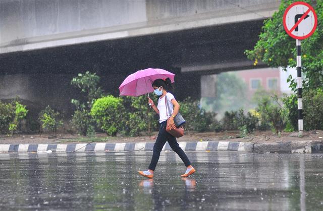 Pleasant morning Delhi, light rain : Tribune India