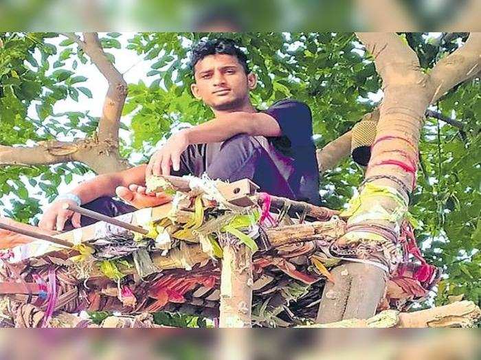 Covid positive Telangana youth spends 11 days on tree