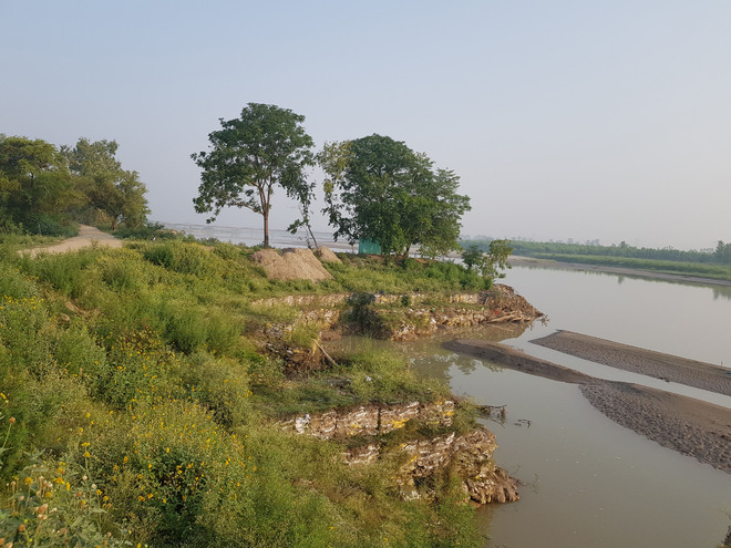 NGT directs Punjab chief secy to take steps for protection of river Sutlej floodplains