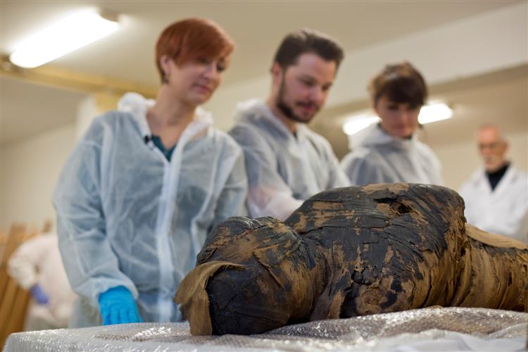 Polish scientists discover ancient Egyptian mummy was pregnant woman