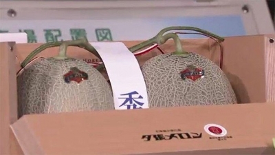 Two coveted Yubari melons auctioned for almost $25,000