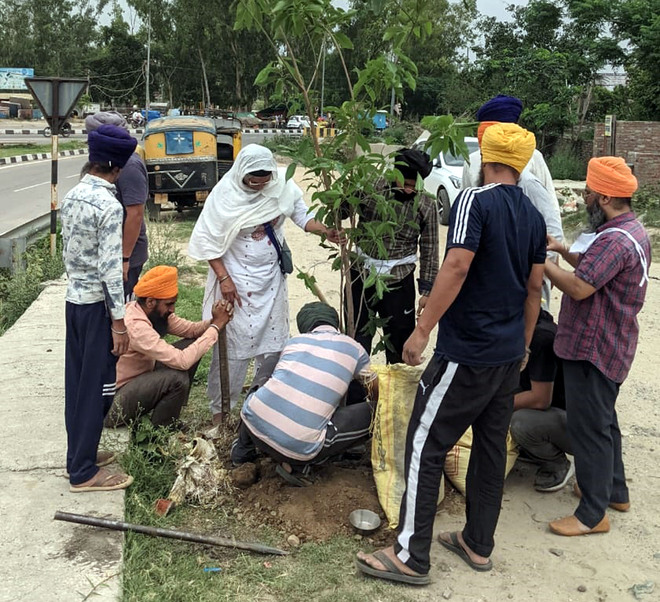 Branch out: City-based NGO plants trees at Verka bypass