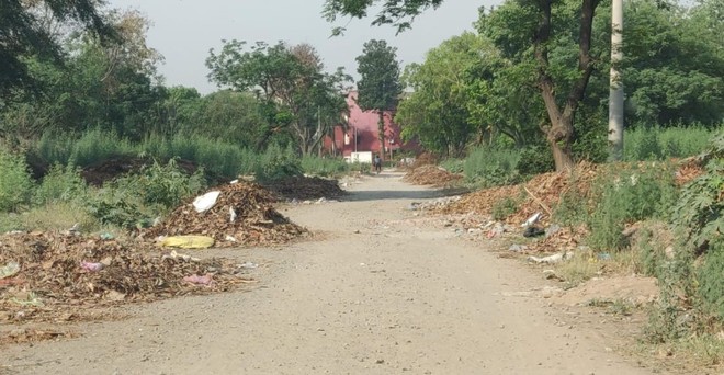 Waste all around Sports Complex  in Sector 38
