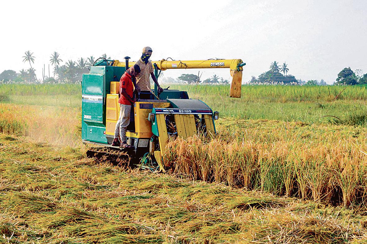 Relaxation for agri sector brings respite for farmers, traders