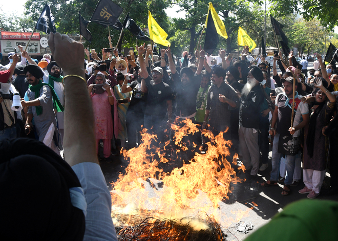 ‘Black day’: Protesters burn effigies of PM Modi, Amit Shah, Tomar  in tricity