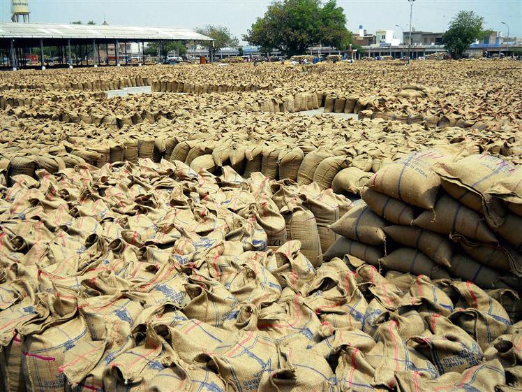 8.52L tonne of wheat procured: Ludhiana DC