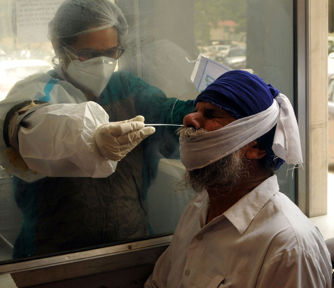 Mayhem in May: Over 50% elderly among virus victims in Amritsar district