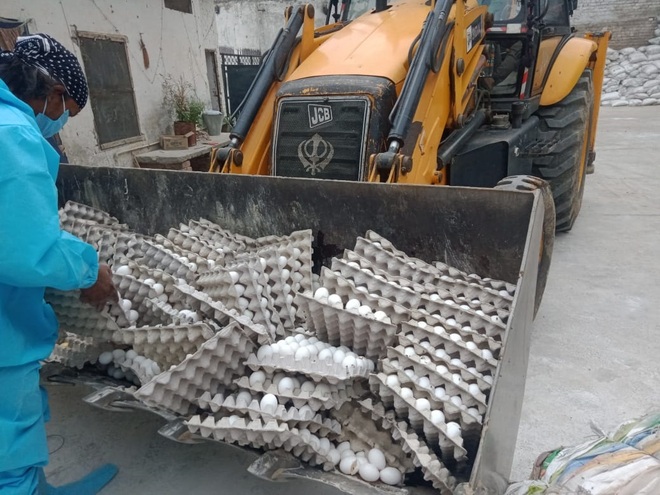8,760 more birds culled, 4,110 eggs destroyed in Kila Raipur