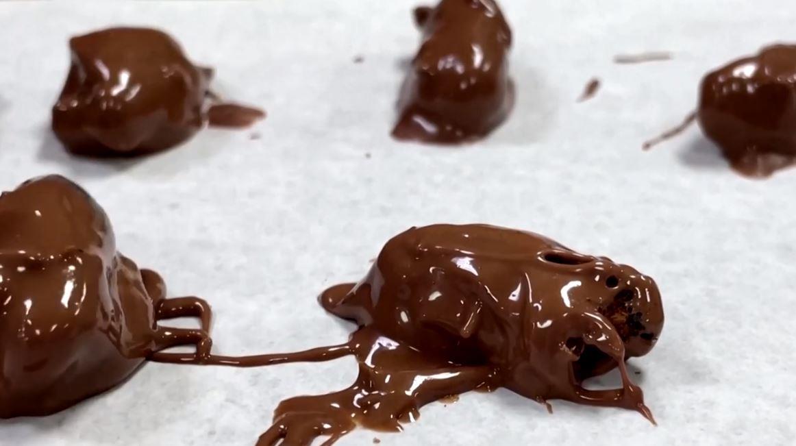 Chocolate-covered cicadas a hit in Maryland