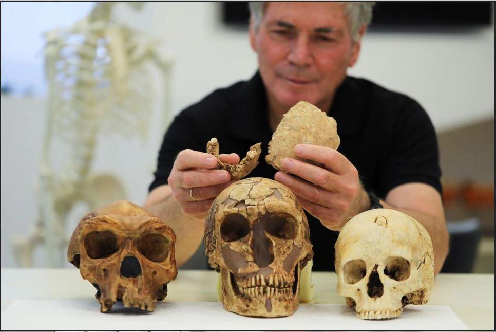 New early human discovered at Israeli cement site