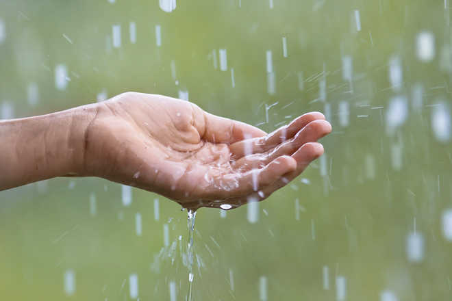 Rain brings relief from hot weather for tricity residents