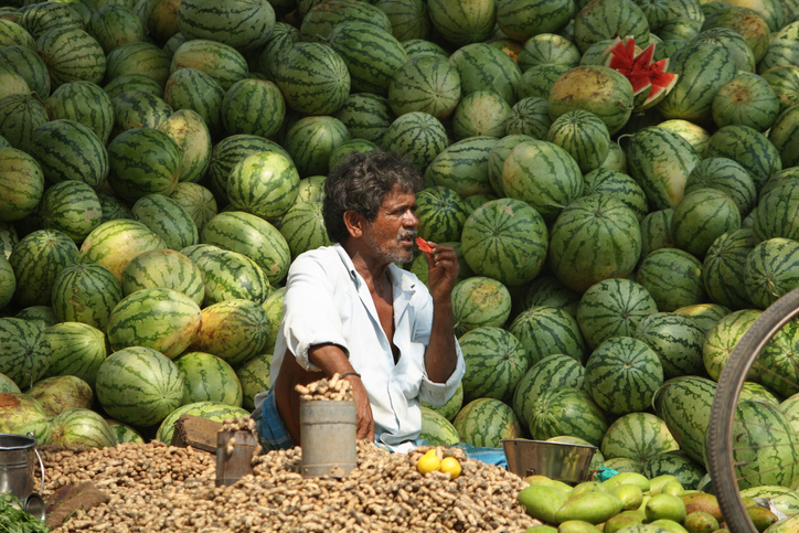 Army buys Jharkhand farmer’s bumper watermelon harvest after he offers it for free