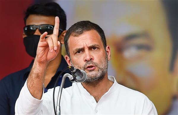 Why only formalities and not treatment of black fungus: Rahul Gandhi