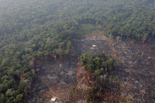 Brazil Bans Fires Redeploys Military To Protect Amazon Rainforest