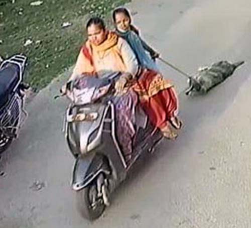 Finally, Patiala police catch up with women who dragged dog