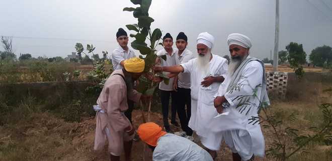 Baba Sewa Singh’s works attain global recognition