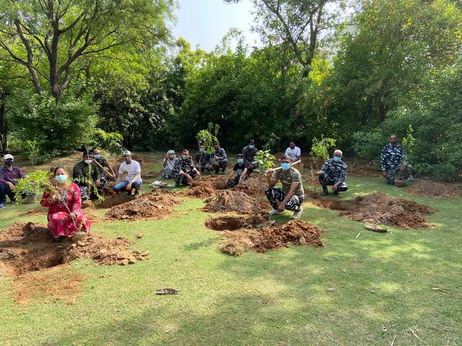 Gurugram to have largest peepal, banyan nursery
