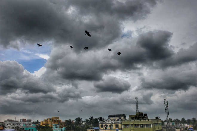 Rain lashes Amritsar city, mercury dips
