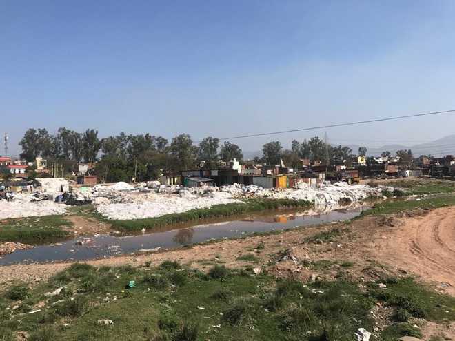 Pollution board faces NGT wrath over toxic discharge into Sirsa river in Baddi