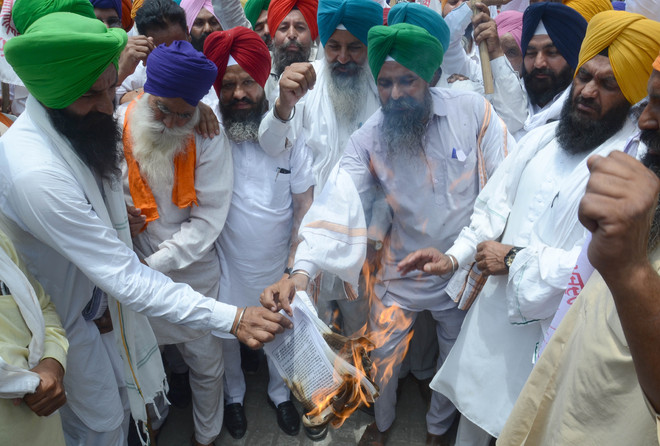 Angry, farmers burn copies of three agriculture laws