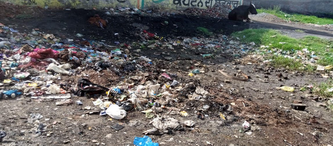 Meat waste dumped on vacant plot at Giaspura, residents irked