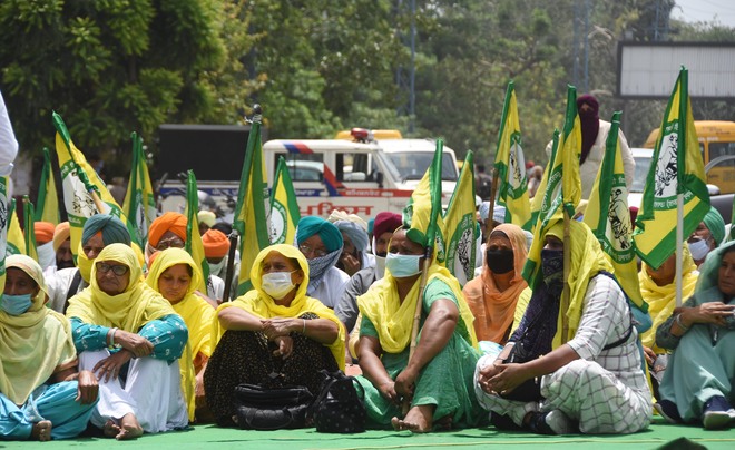 Rally marks farmers’ 7 months of stir