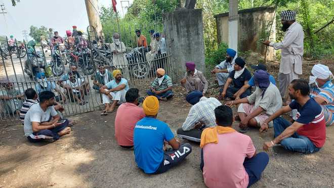 Without electricity for 8 days, farmers protest in front of grid