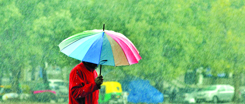 Scattered rainfall likely in tricity