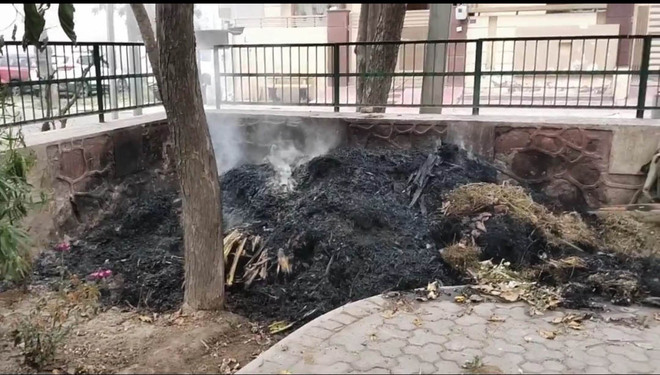 Ludhiana: SBS Nagar residents fume over waste burning in parks