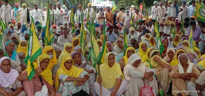 Stir to continue until agri laws repealed: BKU