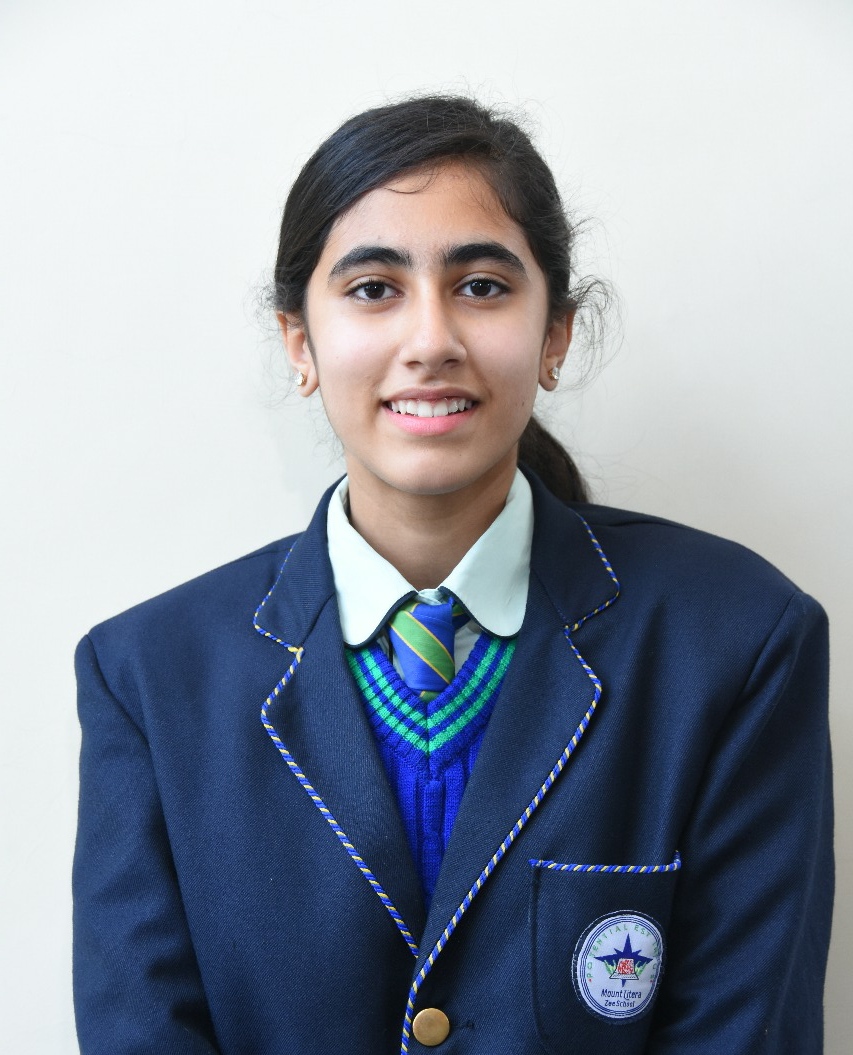 Amritsar girl makes it to global essay competition