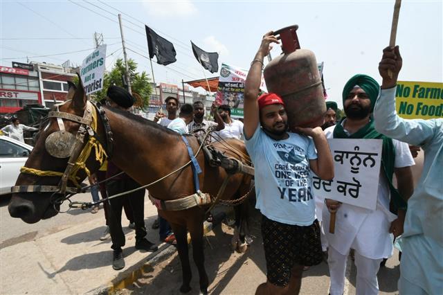 Farmers in Punjab, Haryana protest against fuel, cooking gas price rise