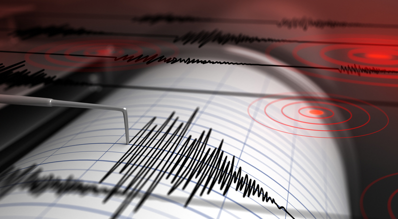 Tremors felt in border areas of Rajasthan