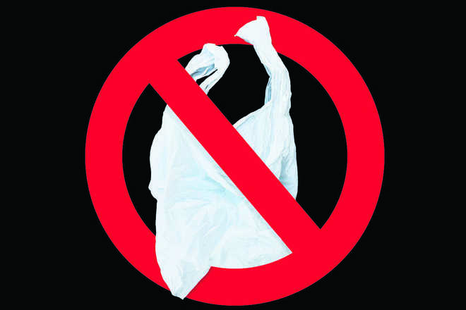 Industry flays ban on plastic bags, says being targetted