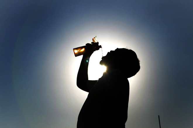 Hot weather conditions prevail in Punjab, Haryana