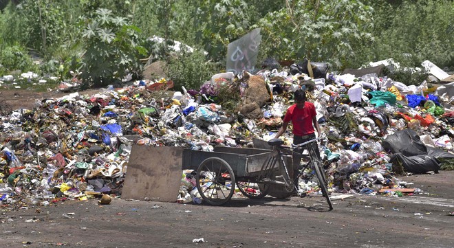 Waste segregation still a distant dream in Ludhiana