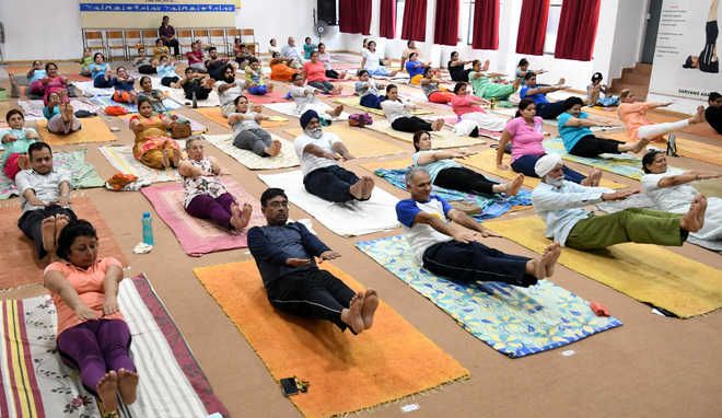 Research scholar to hold yoga camp in Shimla