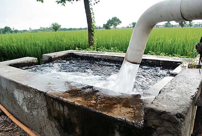 Facing water scarcity, farmers block Fazilka-Abohar national highway