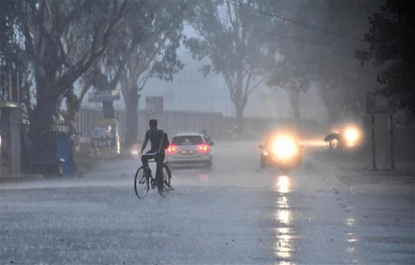 Delayed monsoon to hit Punjab on July 10: MeT