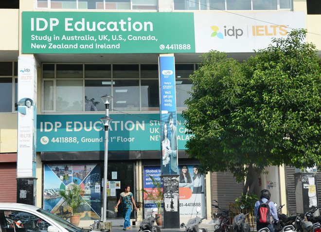 IELTS exam: IDP monopoly worries immigration firms