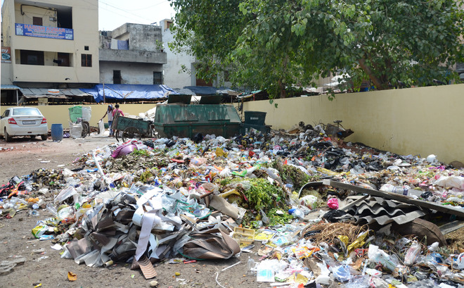 Smart city?: Garbage spillovers in Jalandhar city risk spread of monsoon ailments