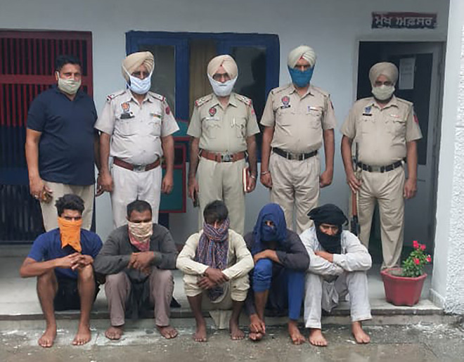 Kapurthala: Inter-state gang of cattle thieves busted, five held