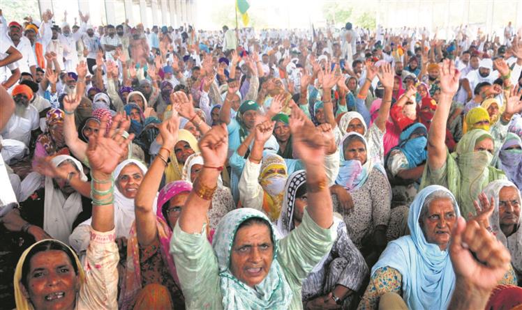 Book cops involved in lathicharge on farmers in Karnal or face stir: Haryana farmers