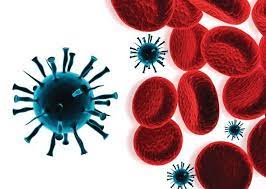 Four contract virus in Chandigarh, five recover
