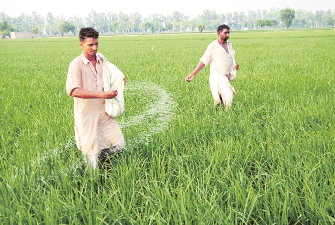 Fake pesticides, fertilisers swamp market; agri officials step up vigil in Punjab