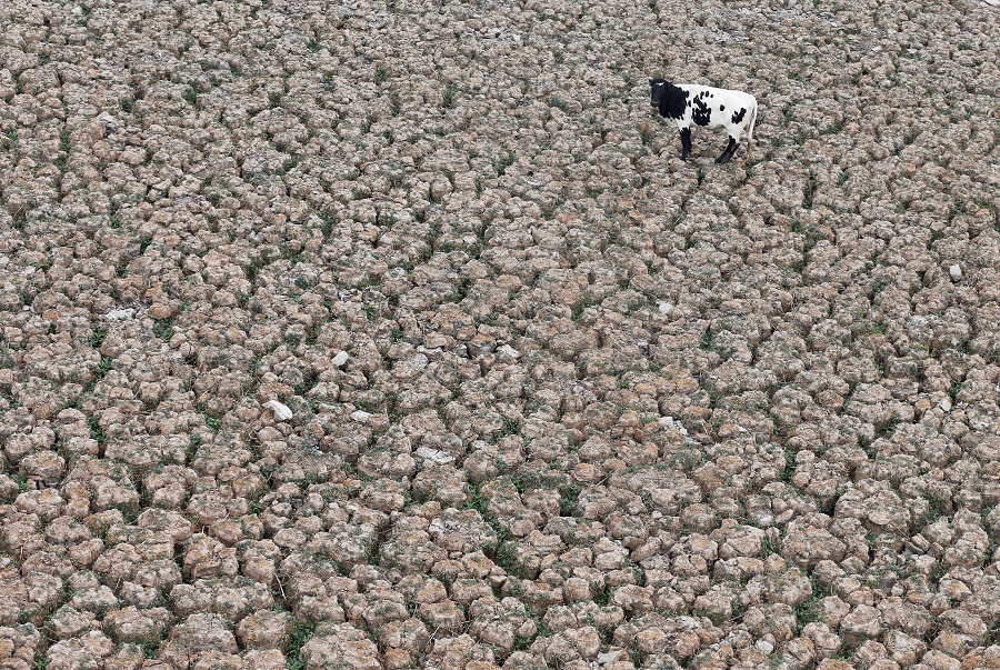 Chile's record-breaking drought makes climate change 'very easy' to see