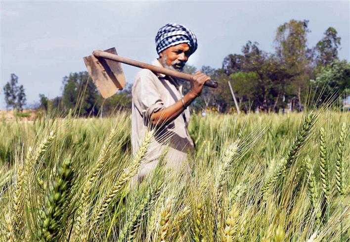 Health cover for 3.5L Punjab farmers