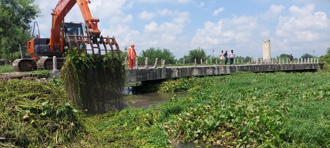 Again: Water hyacinth chokes Kali Bein; fields inundated